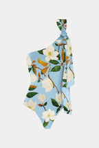 Flora Asimetrik Mayo